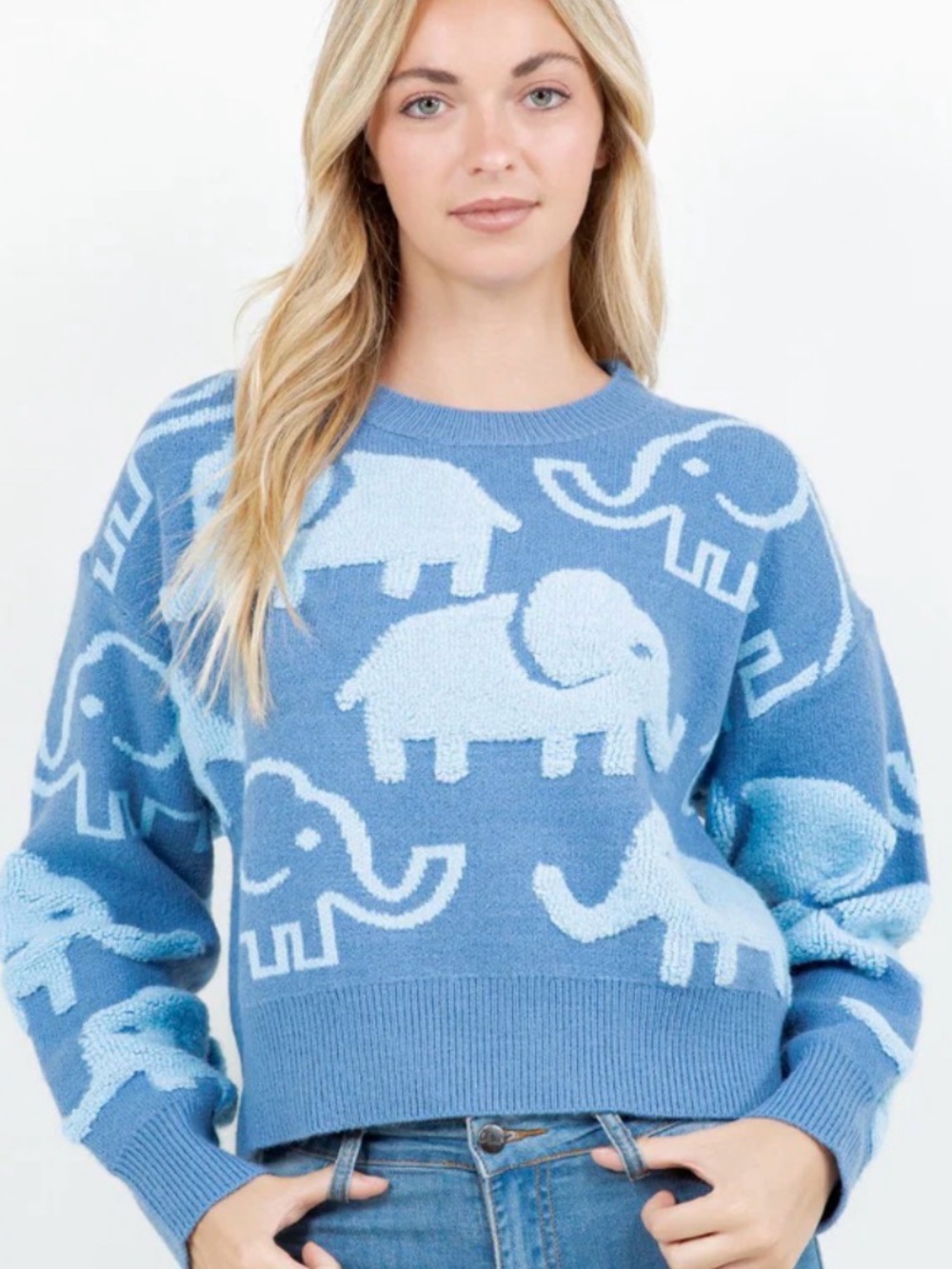 Dreamers by Debut Blue Elephant Sweater